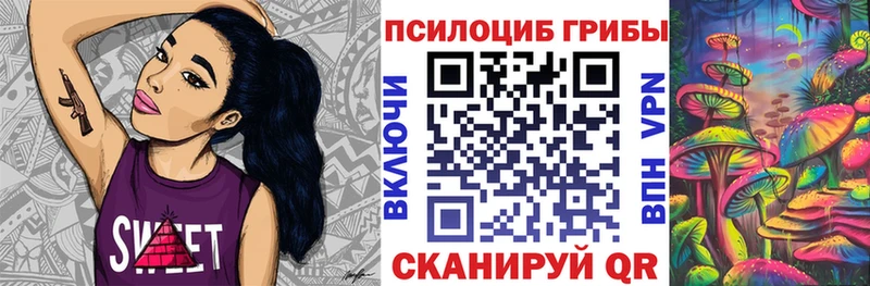 Купить закладки  Магадан  Галлюциногенные грибы Psilocybe 